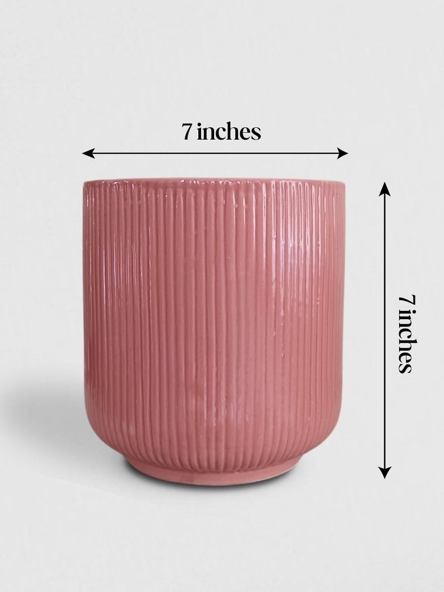 Peace Lily Plant in Ceramic Pot (Large)