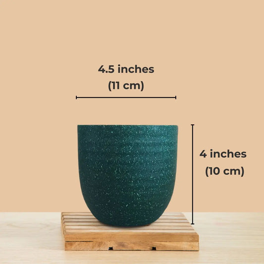Indoor Small Pots (Green) - Set of 3