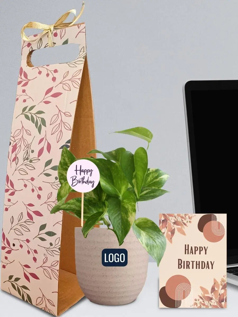 Sustainable Corporate Gifts for Conferences - Money Plant in Eco Pot