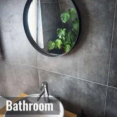 buy plants for bathroom that thrive in low light