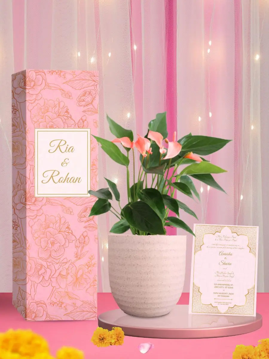 blooming anthuriums as gorgeous wedding return gifts