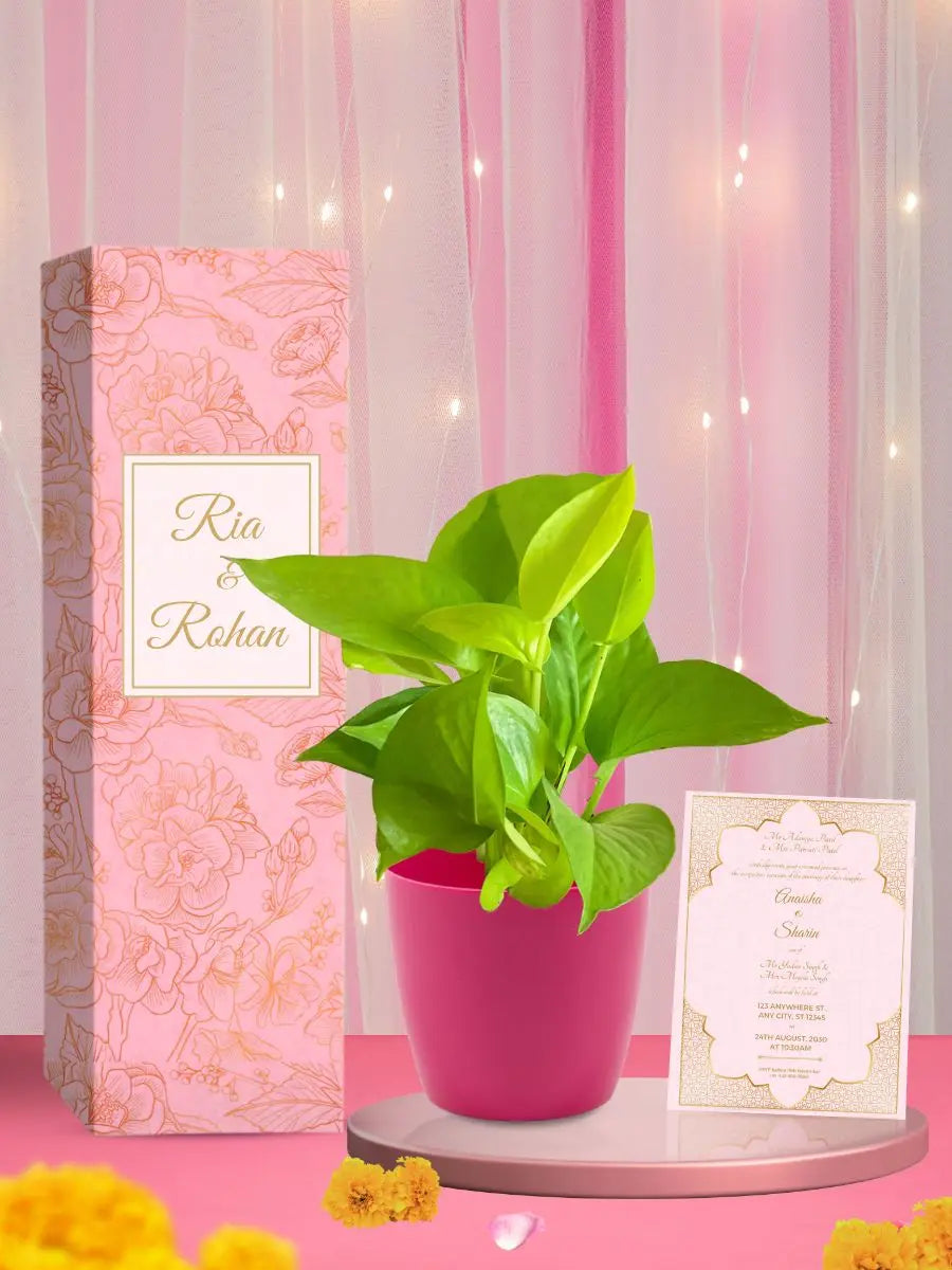 Wedding Gift Under 500 Beachweddingtips wedding-gift-under-500-beachweddingtips