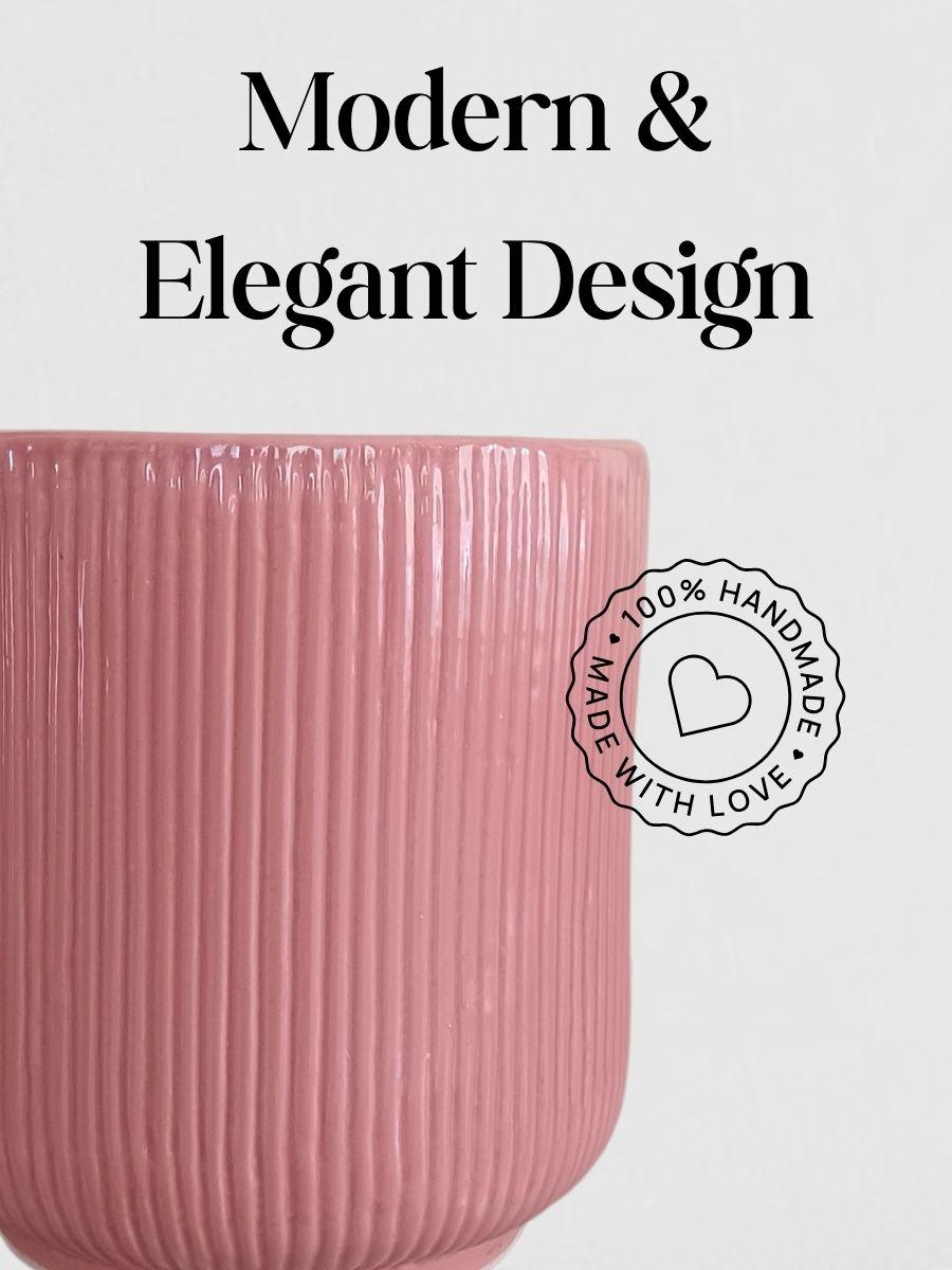 Aglaonema 'O' Rose Cochin Plant in Ceramic Pot (Large)