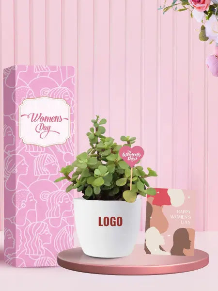 eco friendly indoor plants for women's day corporate gifts