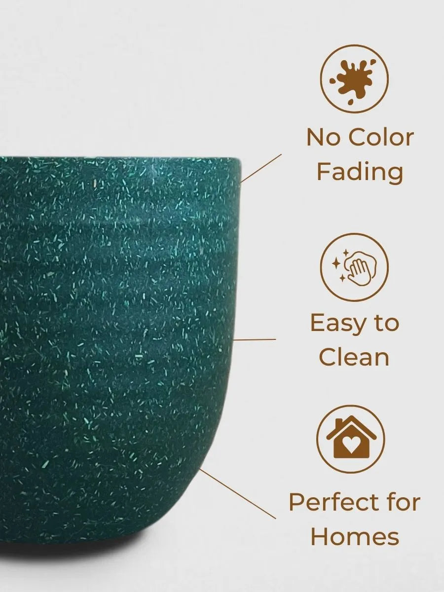 Easy Care Air Purifying Indoor Plants Combo (Small)