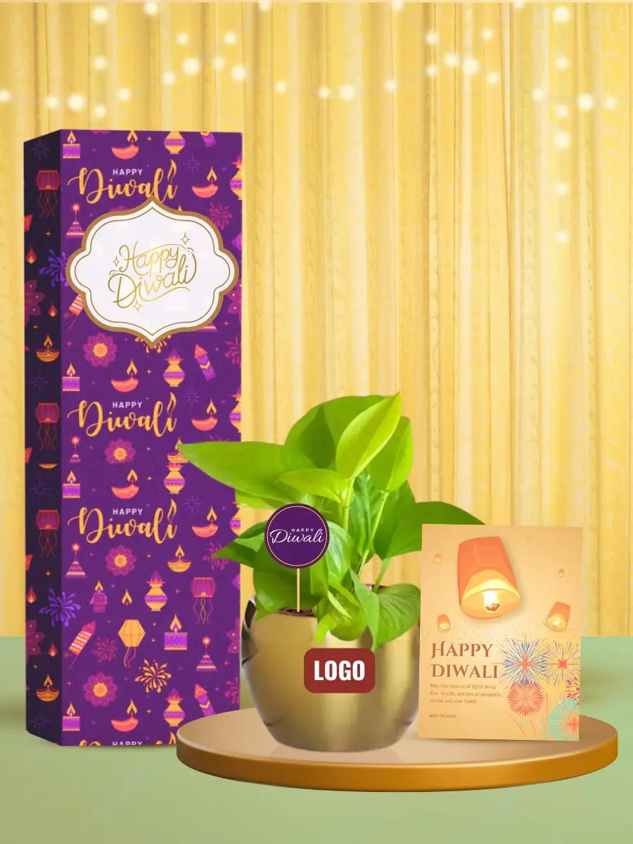 green gifts for corporate diwali celebrations