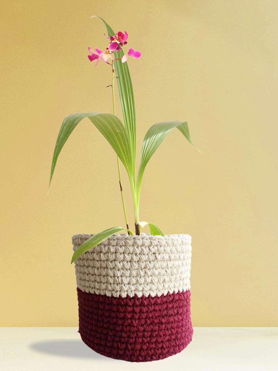 Ground Orchid Purple White (X-Large)