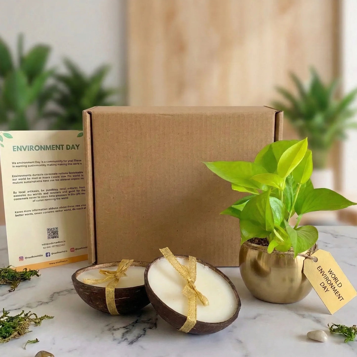 Potted Plant With Eco-Friendly Candle For Environment Day Corporate Gifting