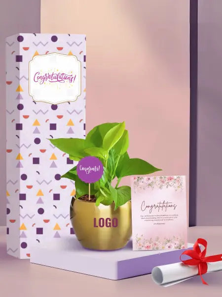 hardy money plant for employee milestones