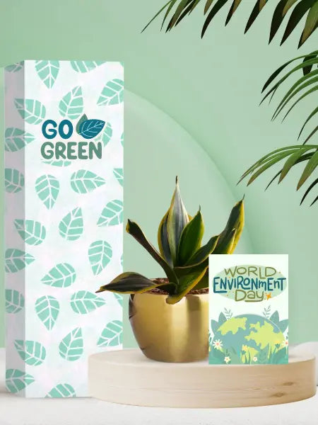 live green gifts for thoughtful environment day office giving