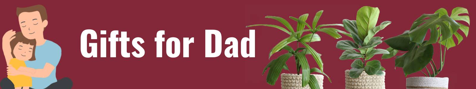 indoor plant gifts for fathers