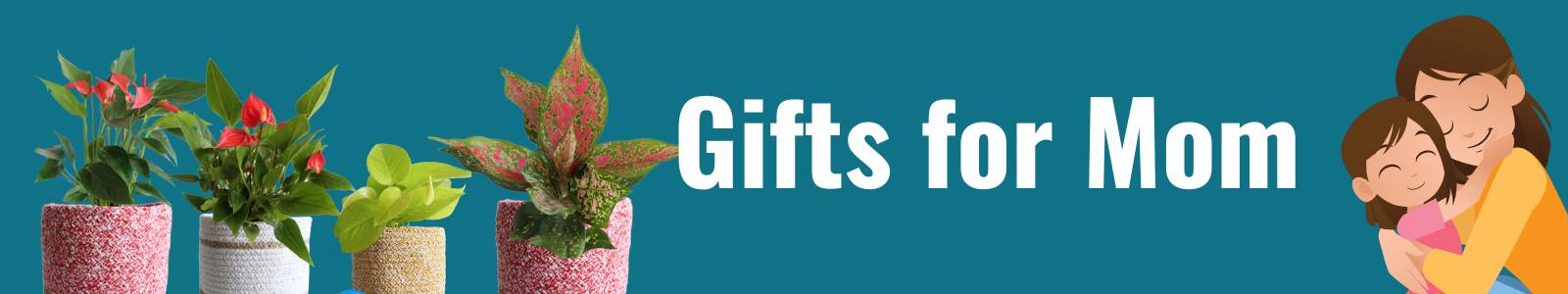 indoor plant gifts for mothers