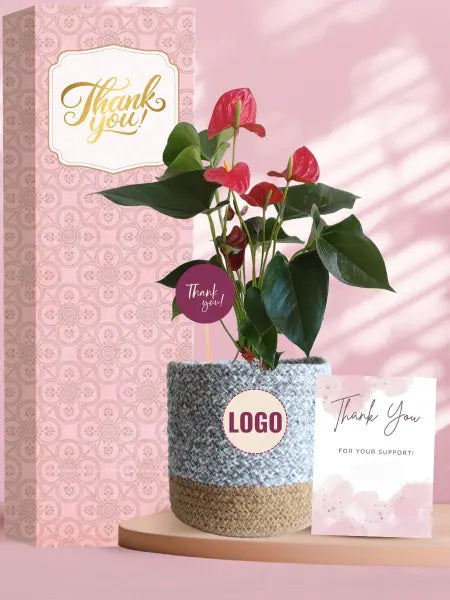premium sustainable gifts for corporate clients