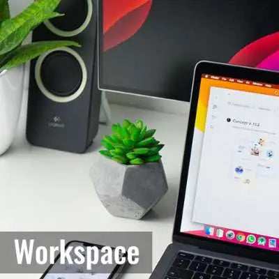 buy plants for office that promote productivity