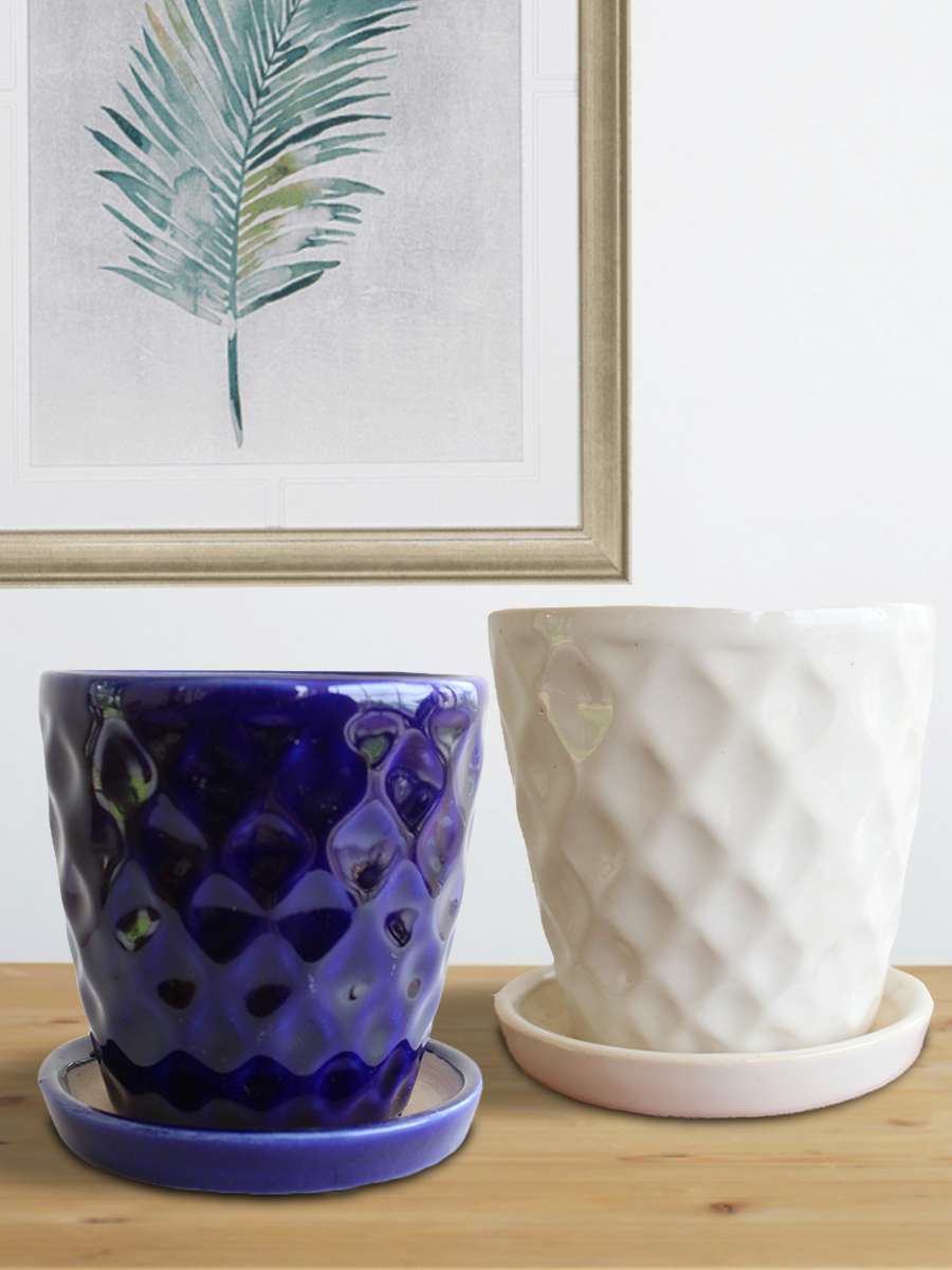 Hawaiian White & Blue Ceramic Planters with Trays (Set of 2)