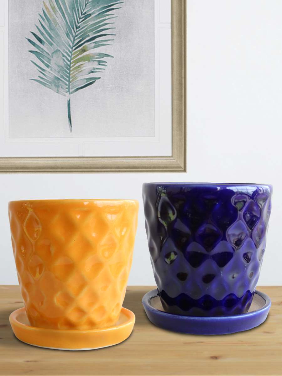 Hawaiian Yellow & Blue Ceramic Planters with Trays (Set of 2)
