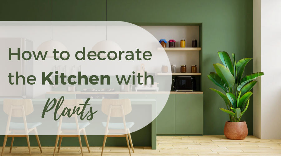 How to Decorate Your Kitchen with Plants? 