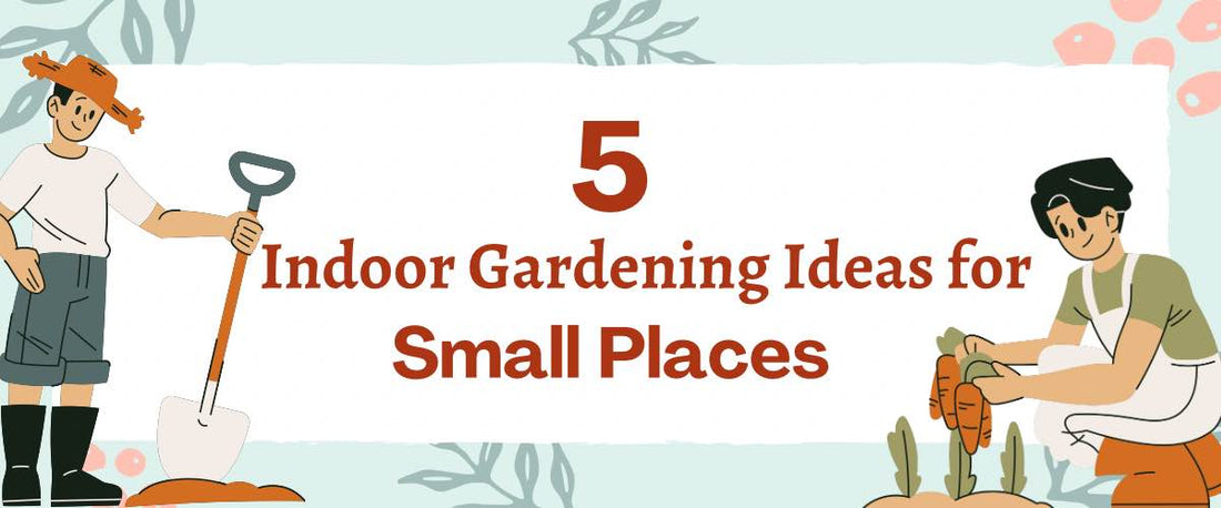 5 Indoor Gardening Ideas for Small Spaces