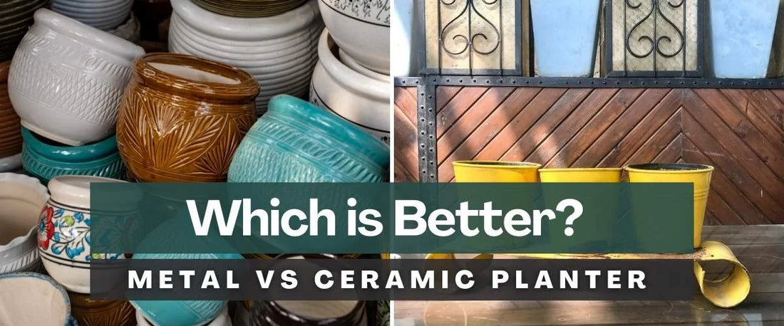 Metal Planters vs. Ceramic Planters: Pros & Cons