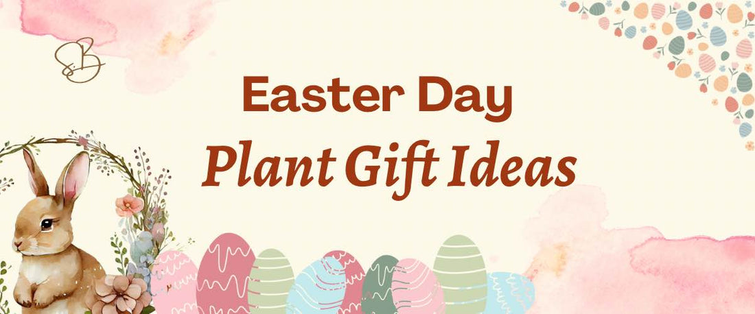 Easter Day Plant Gift Ideas