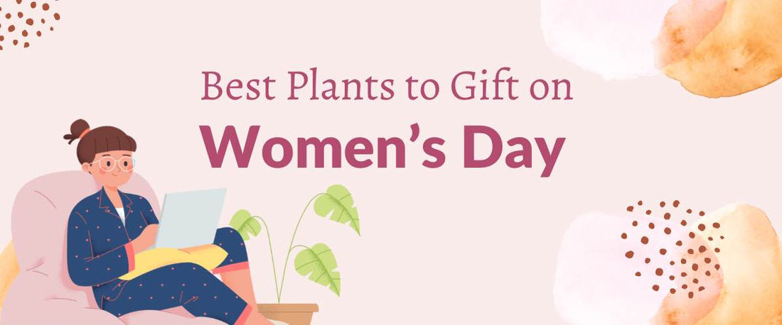 Best Plants to Gift on Women's Day 2024