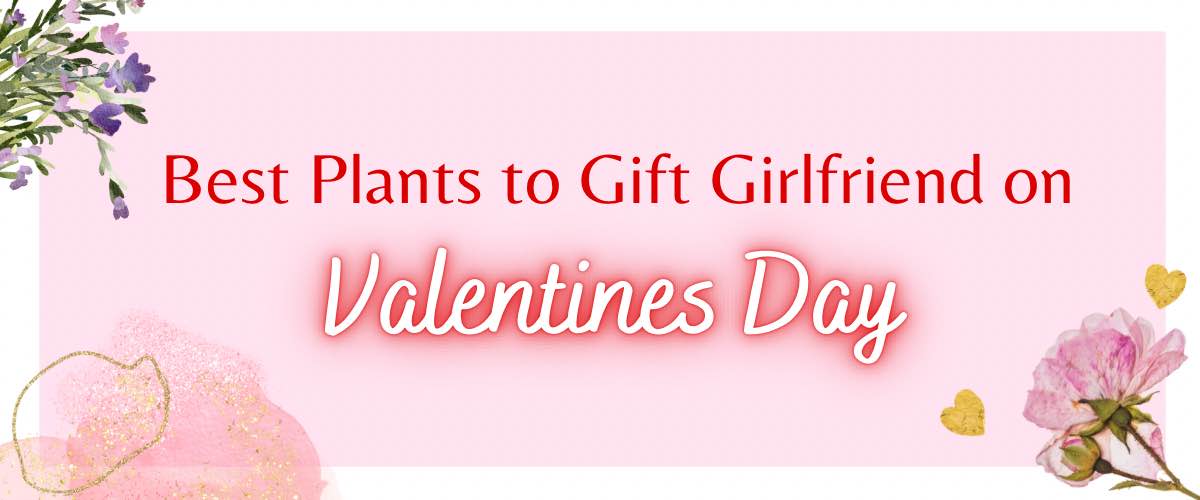 The Best Valentine's Day Gifts for Your Girlfriend- 37 Gifts for your  Girlfriend