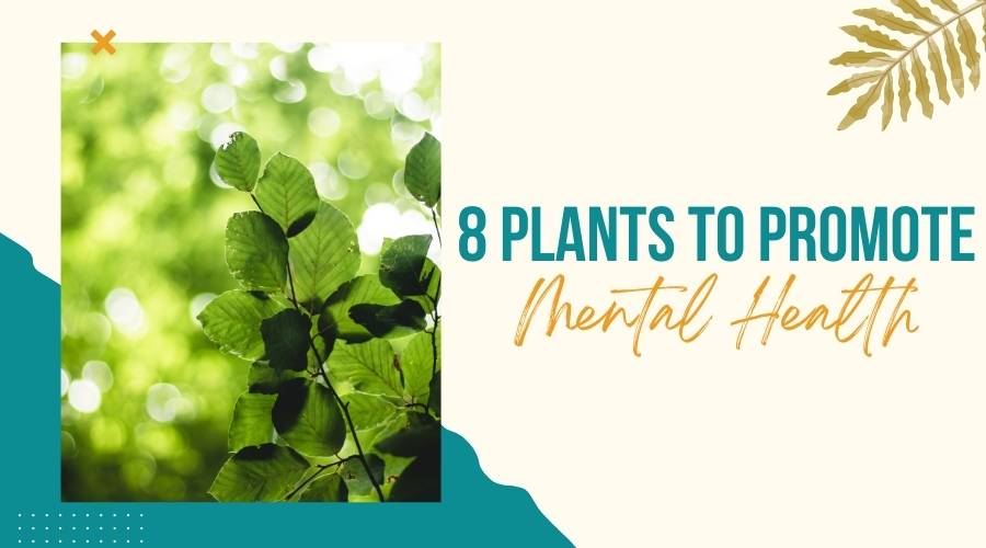 8 Plants that Promote Mental Health