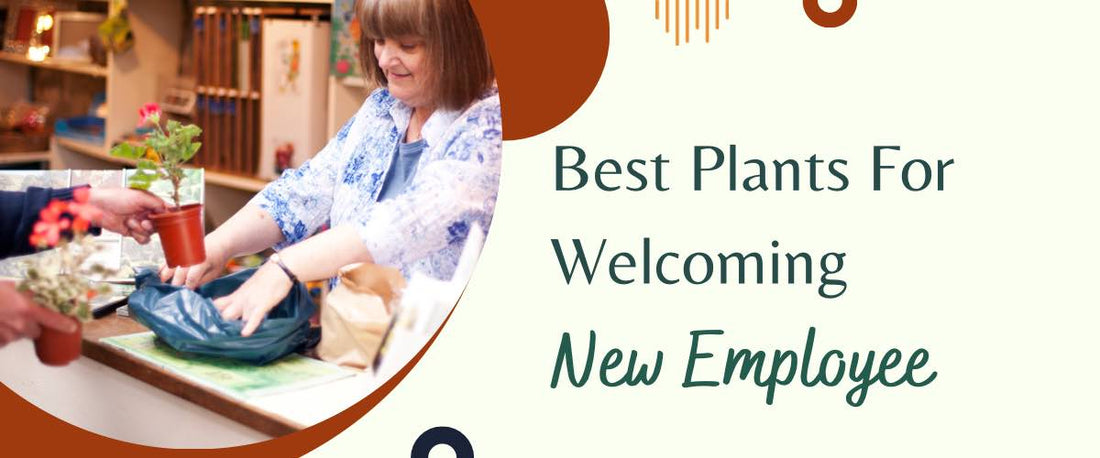 Best Plants for Welcoming New Employee
