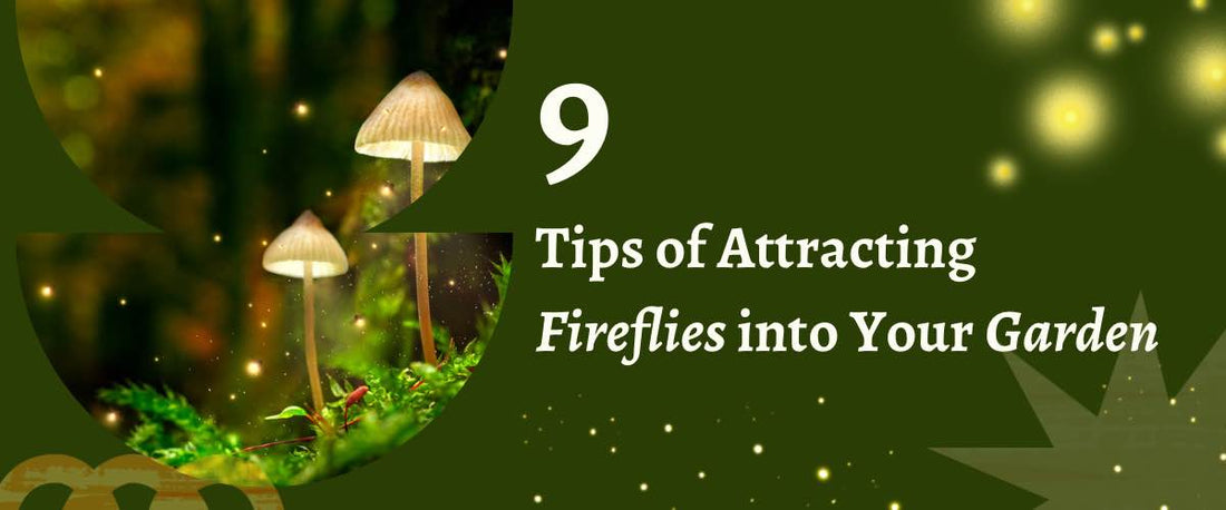 9 Tips for Attracting Fireflies to Your Garden