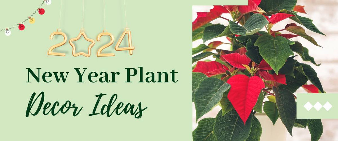 New Year Plant Decoration Ideas for 2024