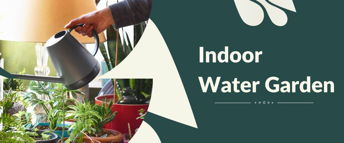How to Create Indoor Water Gardens