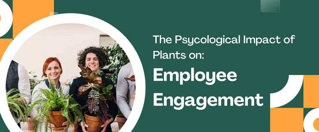The Psychological Impact of Plants on Employee Engagement