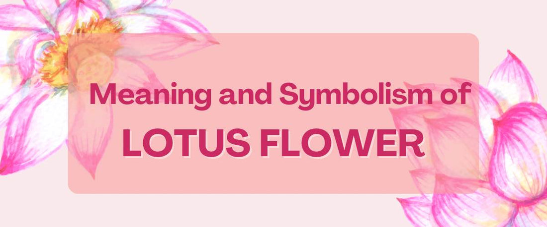 Meaning and Symbolism of Lotus Flower?