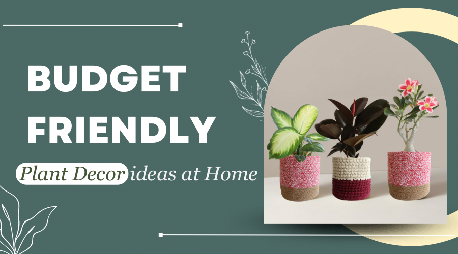 Budget-Friendly Plant Decor Ideas at Home