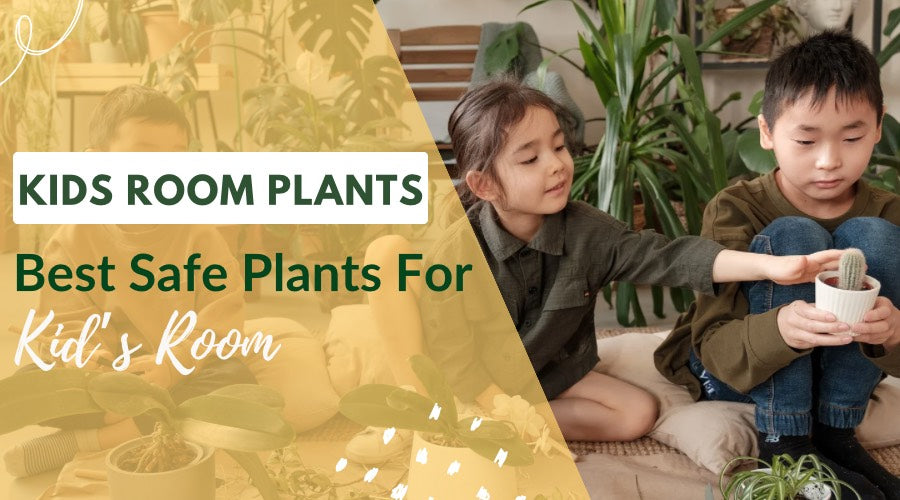 Plants For Kids Room