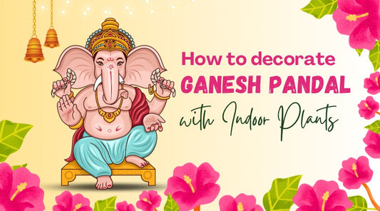 How to decorate Ganesh Pandal