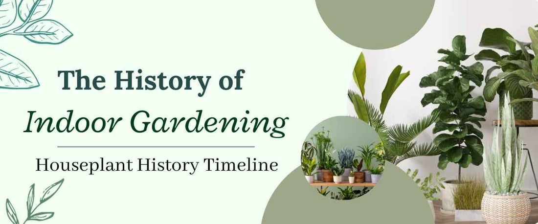 The History of Indoor Gardening
