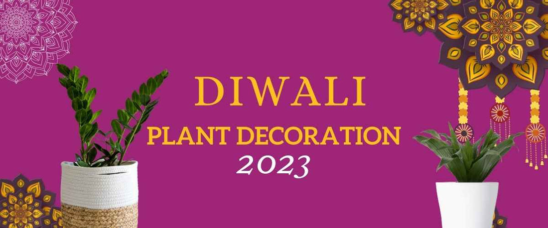 Diwali Decoration Ideas with Plants 2023