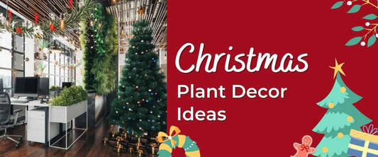 Christmas Plant Decoration Ideas