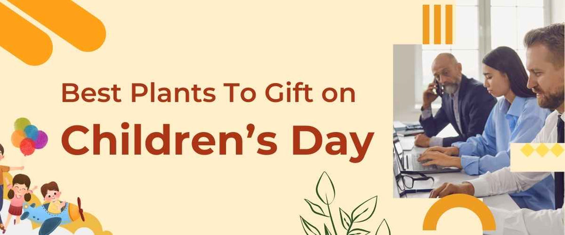 Best Plant to Gift on Children's Day 2023