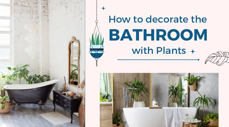 How to Decorate the Bathroom with Plants