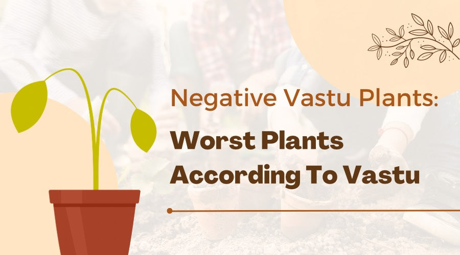Negative Plants According to Vastu Shastra