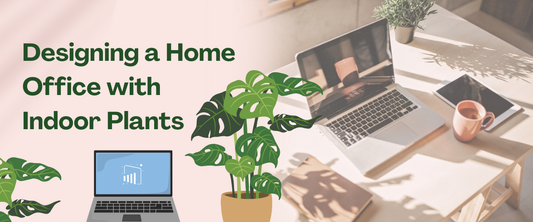 Designing a Home Office with Indoor Plants