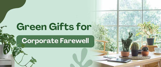 Green Gifts for Corporate Farewell Parties: Making Departures Memorable