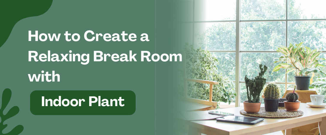 How to Create a Relaxing Break Room with Indoor Plants