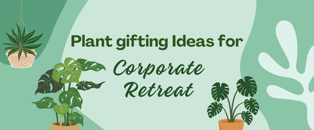 Plant Gifting Ideas for Corporate Retreats and Team-building Events