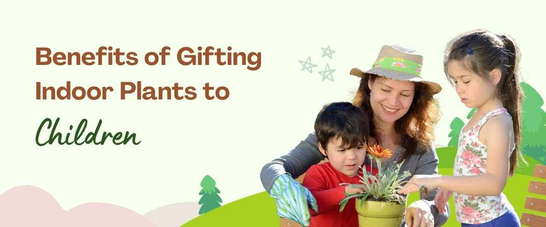 Benefits of Gifting Indoor Plants to Children