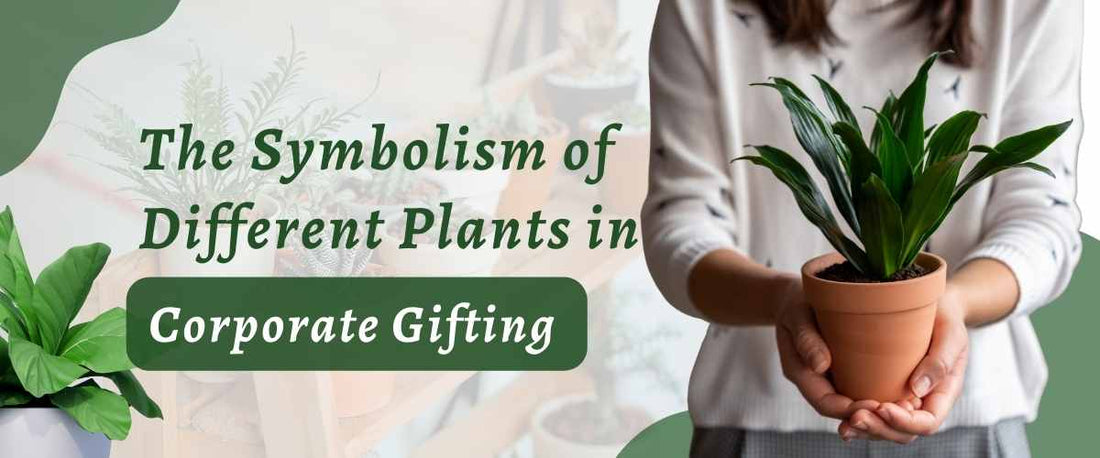 The Symbolism of Different Plants in Corporate Gifting