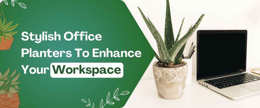 Stylish Office Planters To Enhance Your Workspace