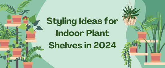 Styling Ideas for Indoor Plant Shelves in 2024